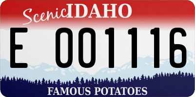 ID license plate E001116