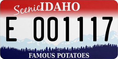 ID license plate E001117