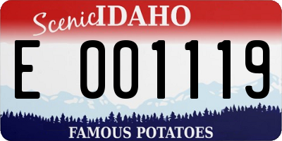 ID license plate E001119