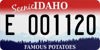 ID license plate E001120