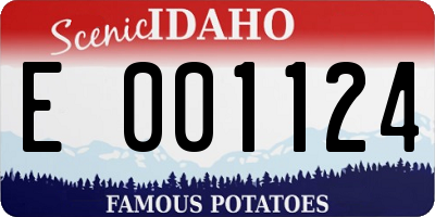ID license plate E001124