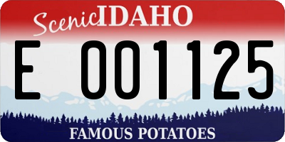 ID license plate E001125