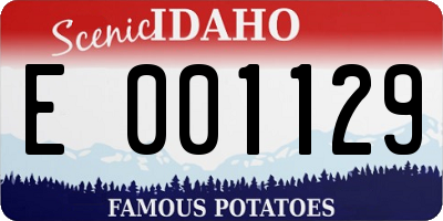 ID license plate E001129