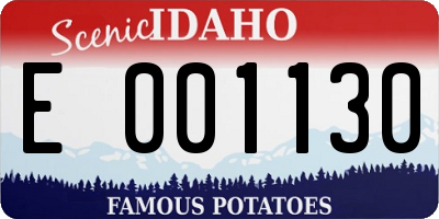 ID license plate E001130