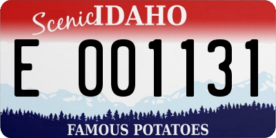 ID license plate E001131