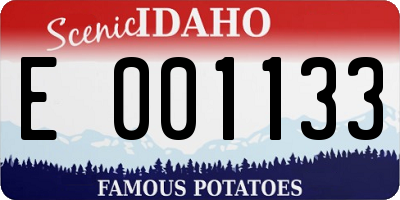 ID license plate E001133