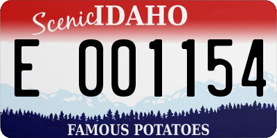 ID license plate E001154