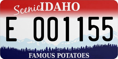 ID license plate E001155