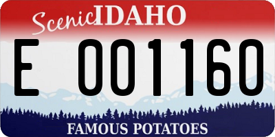 ID license plate E001160