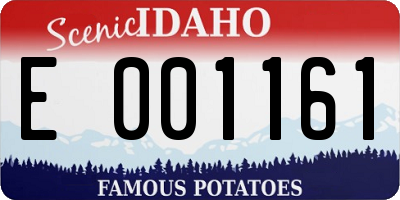 ID license plate E001161