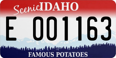 ID license plate E001163