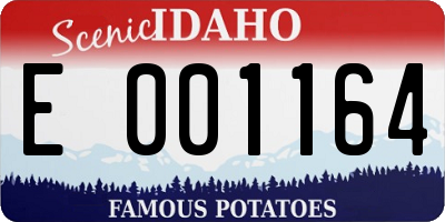 ID license plate E001164