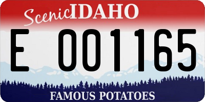 ID license plate E001165