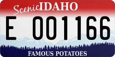 ID license plate E001166