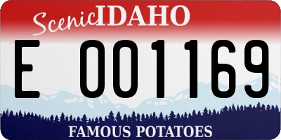 ID license plate E001169