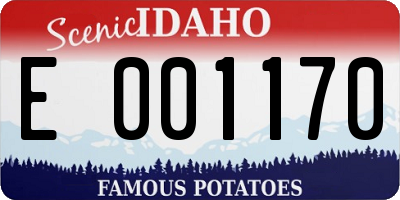 ID license plate E001170