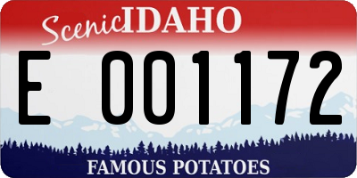 ID license plate E001172