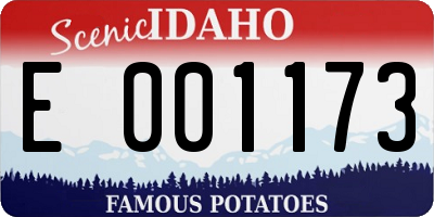 ID license plate E001173