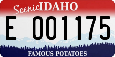 ID license plate E001175