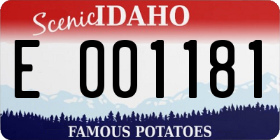 ID license plate E001181