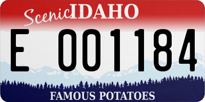 ID license plate E001184