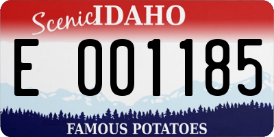 ID license plate E001185