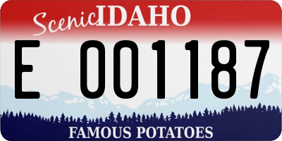 ID license plate E001187