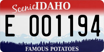 ID license plate E001194