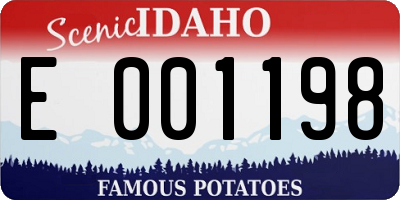 ID license plate E001198