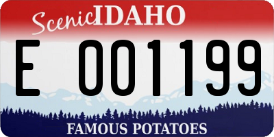 ID license plate E001199