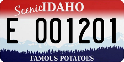 ID license plate E001201