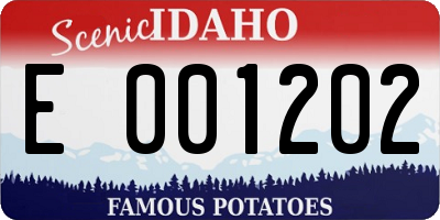 ID license plate E001202