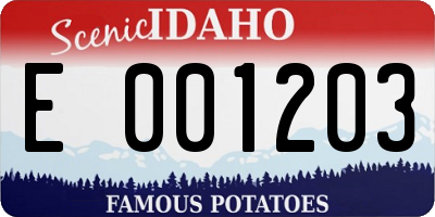 ID license plate E001203