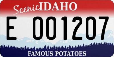 ID license plate E001207