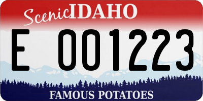 ID license plate E001223