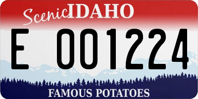 ID license plate E001224