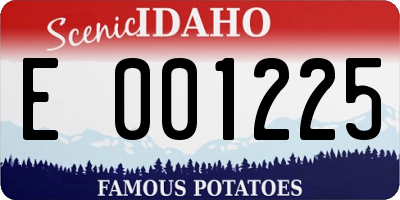 ID license plate E001225