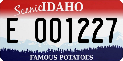 ID license plate E001227