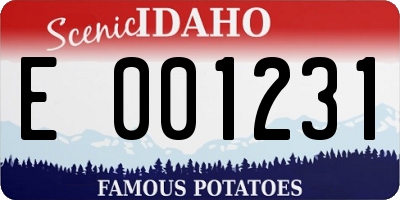 ID license plate E001231