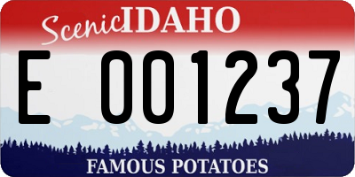 ID license plate E001237