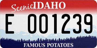 ID license plate E001239