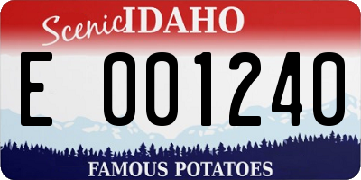 ID license plate E001240