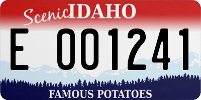 ID license plate E001241