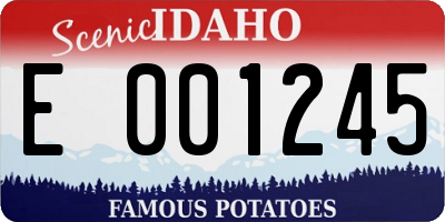 ID license plate E001245