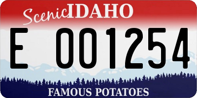 ID license plate E001254