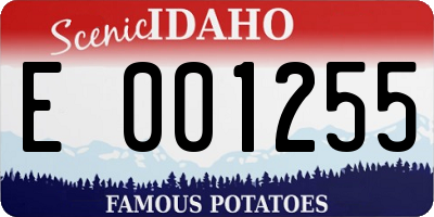 ID license plate E001255