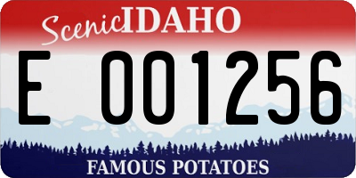 ID license plate E001256