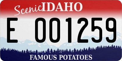 ID license plate E001259