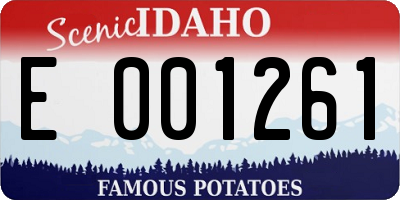 ID license plate E001261