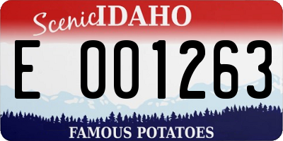 ID license plate E001263